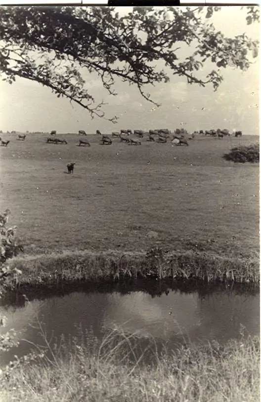 Bilēķi - Vadakstes upe Raudžu lankā 1965. gadā