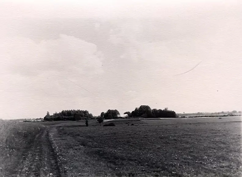 Bilēķos Ļutki, Ļutku birze 1960. gada vasarā