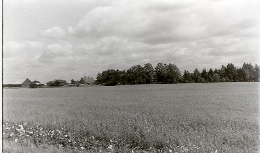 Bilēķu Auziņas 1967. gada 1. jūlijā